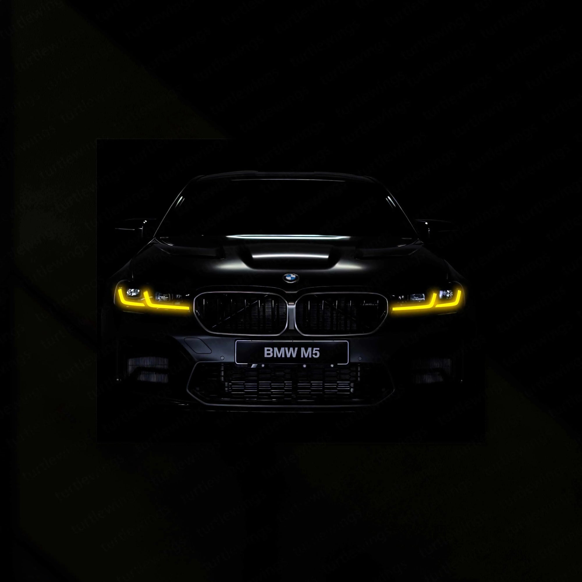 BMW M5 Neon LED Metal Frame