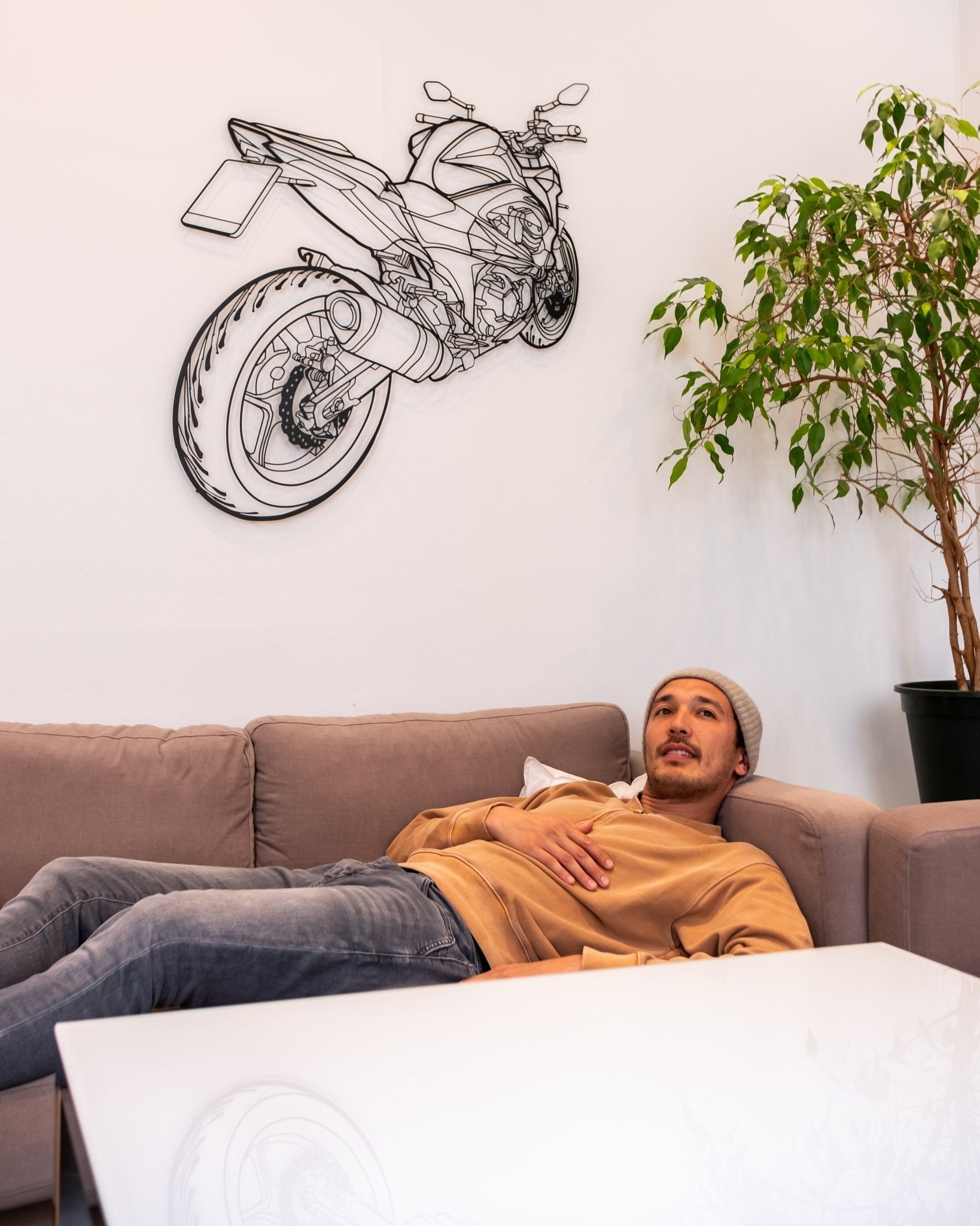 Kawasaki Z800 2013 - Metal Wall Art