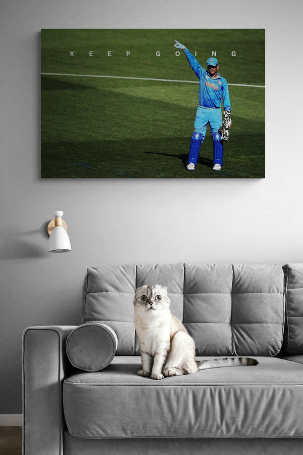 MS Dhoni - "Keep Going"