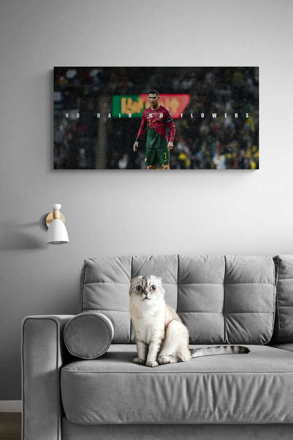 Cristiano Ronaldo - "No Rain No Flowers"